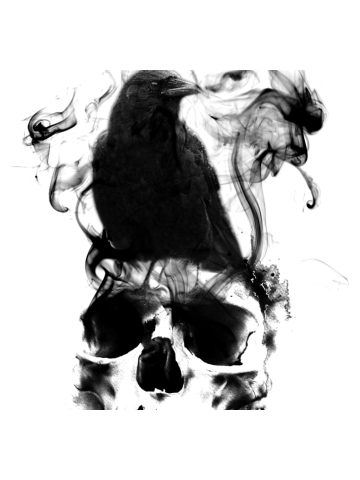 Caveira e Corvo