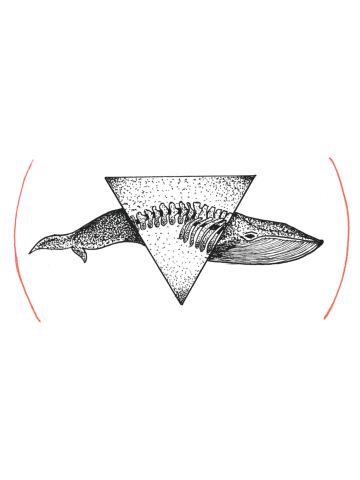 Cetacean Pyramid