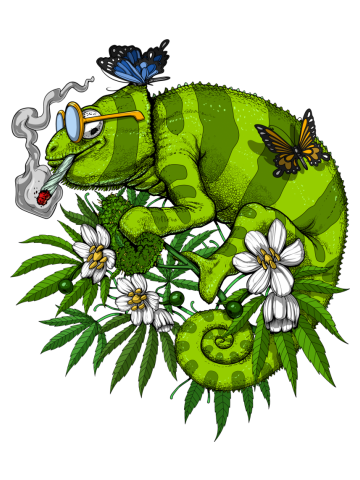 Chameleon Smoking Weed