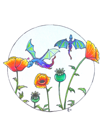 Chasing Poppies
