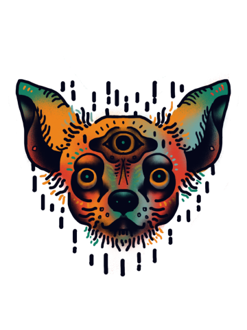 Chihuahua sharp eyes