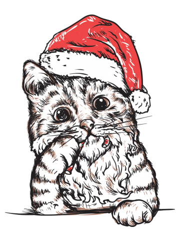 Christmas with cat
