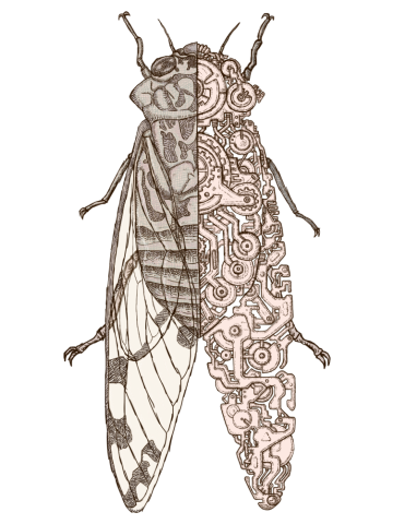 Cicada sci-fi 02