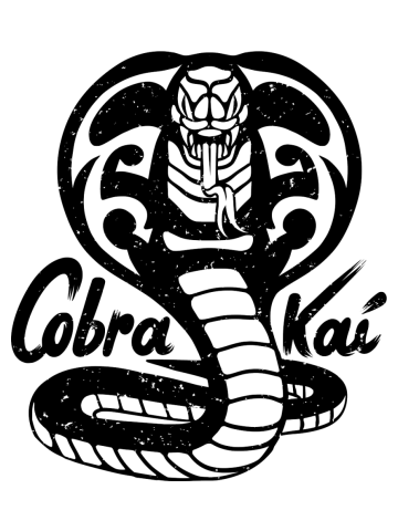 Cobra Kai Black