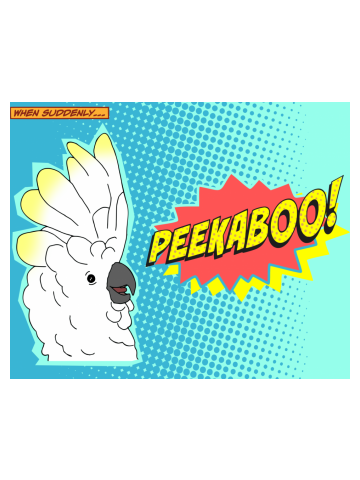 Cockatoo Comic PEEKABOO!