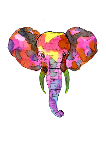 Colorful Elephant