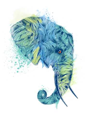 Colorful Elephant Portrait