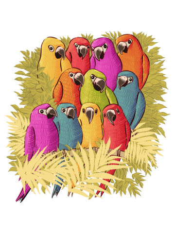 Colorful Parrots