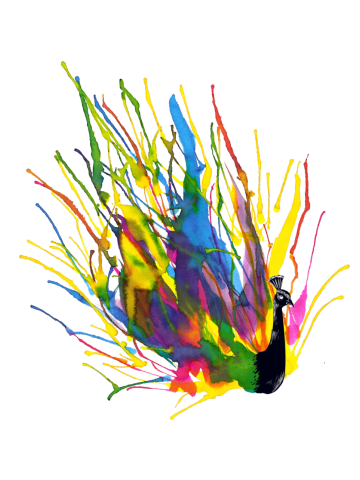 Colorful Peacock