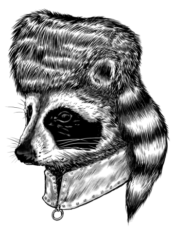 Coonskin Cap