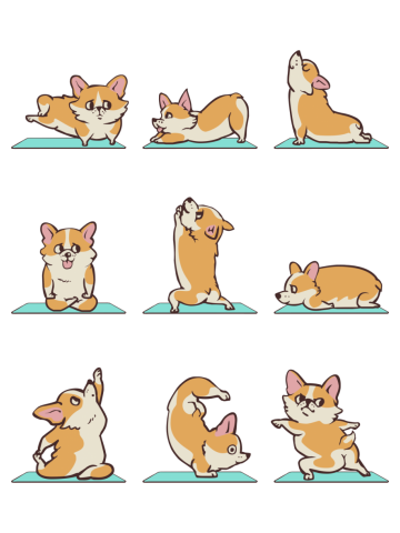 Corgi Yoga