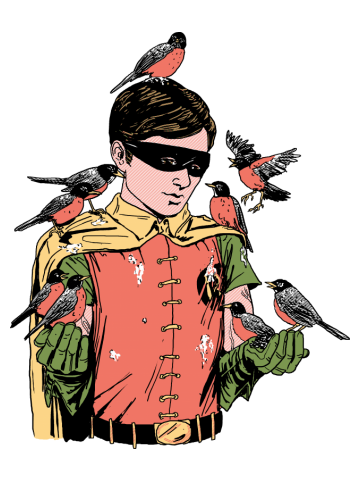 Crazy Bird Lady