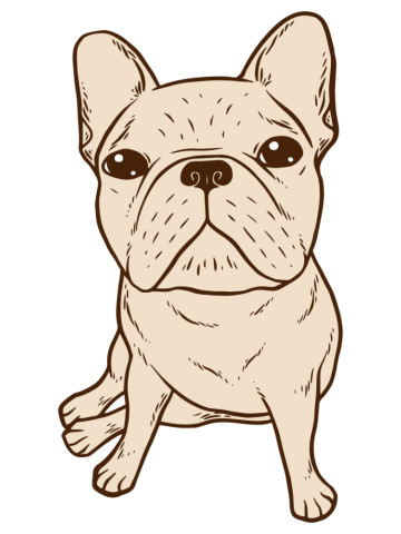 Cream French Bulldog
