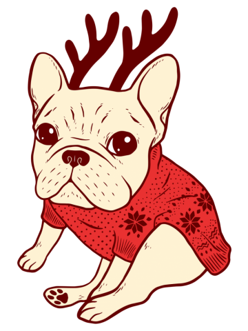 Cream Frenchie in Christmas Sweater