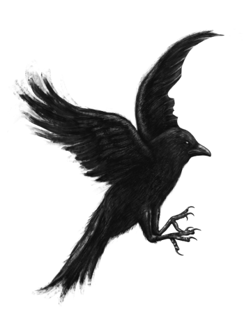 Crow & Alfred