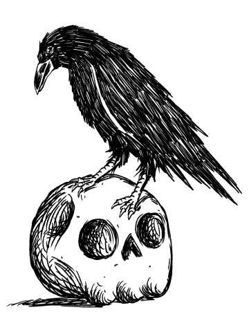 Crow Skull