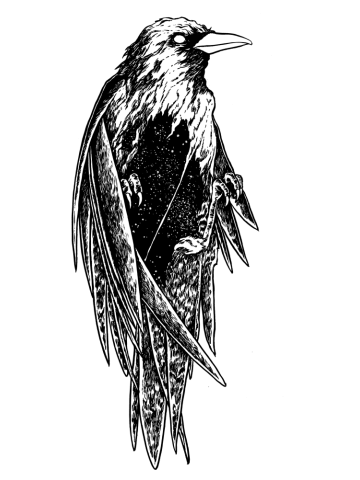 Crow cosmos