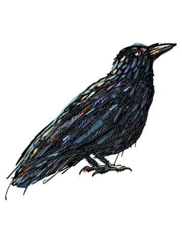Crow’s Feet