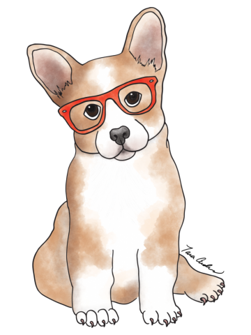 Cuddly Corgi