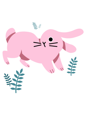 Curious Bunny