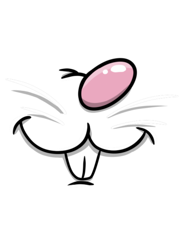 Cute Mouse Face Mask