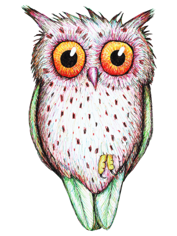 Cute colored owl