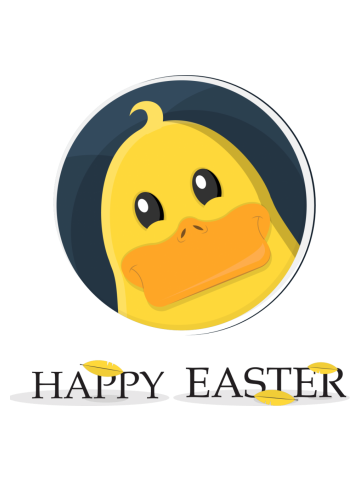 Cute duck