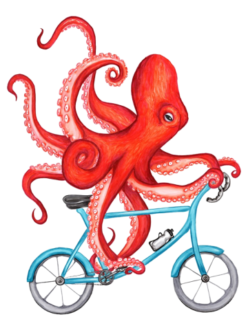Cycling Octopus