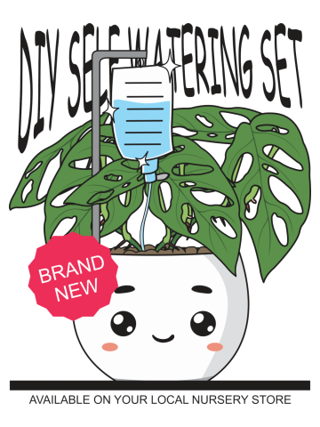 DIY Self Watering Set For Houseplant