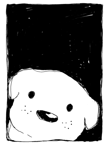 Dog Looking Out a Window
