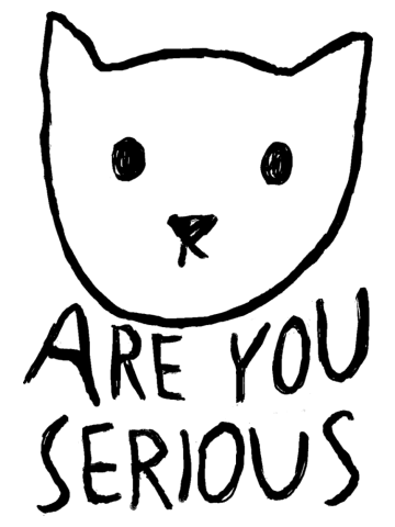 Doubtful Cat
