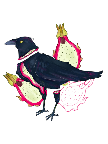 Dragon Fruit