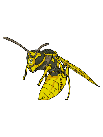 Drone Wasp