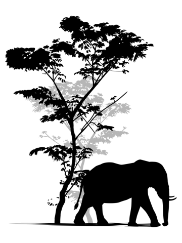 Elephant Tree