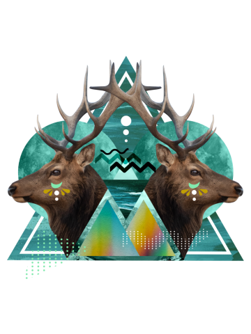 Elk Geometric