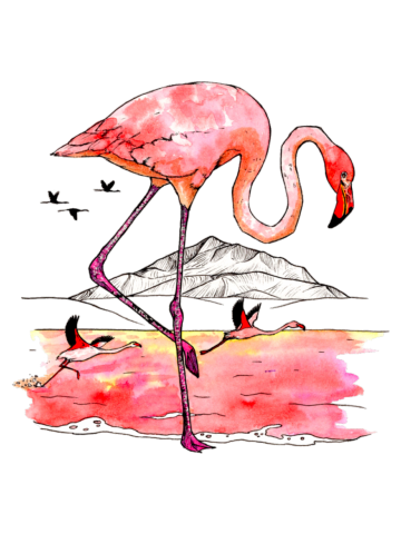 Endangered Flamingo (profits to UNICEF)