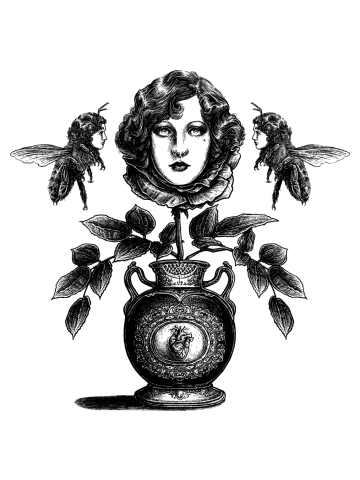 Envy is in the Eye of the Beeholder