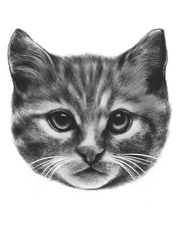 Everybody Wants to be a Cat