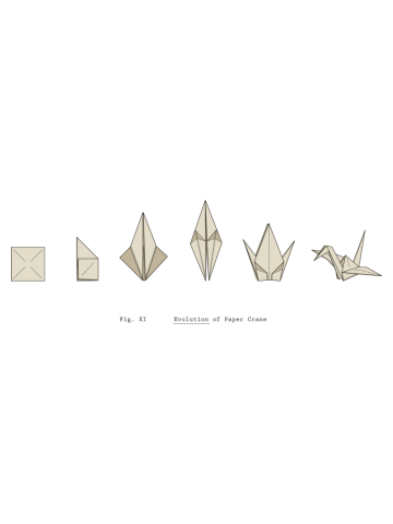 Evolution of Paper Crane