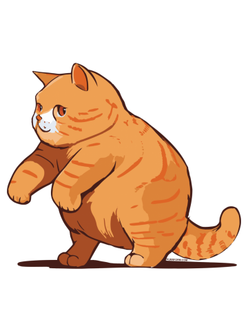 Exercising Cat