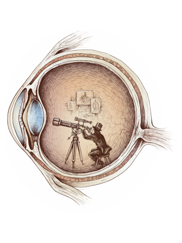 Extraordinary Observer