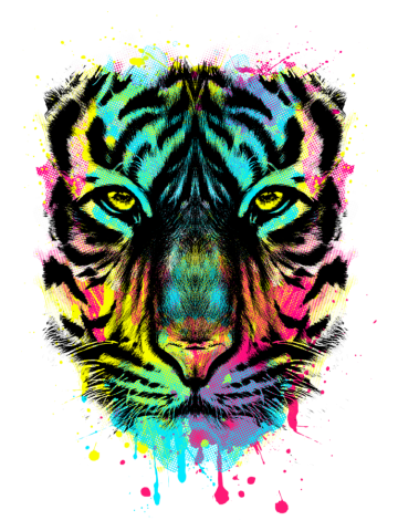Eye of the tiger (colors)