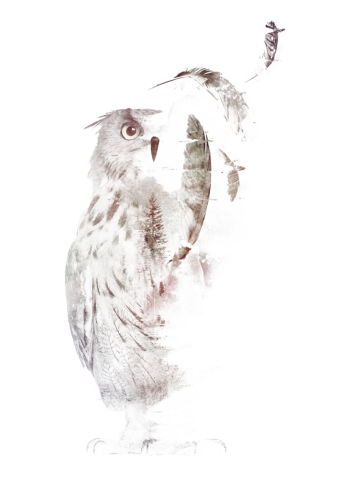 Fade out