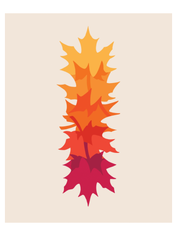 Falling Maple : Warm