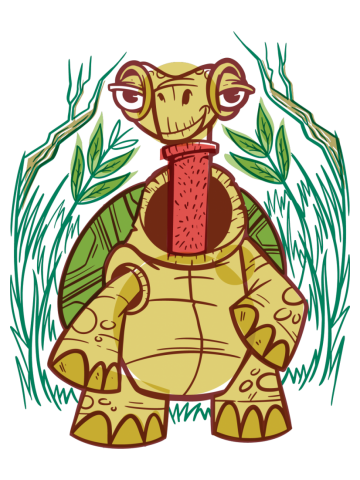 Fashionable Turtle Neck