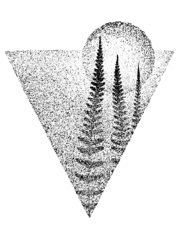 Fern and Moon
