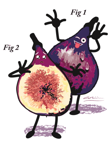 Fig 1 and fig 2