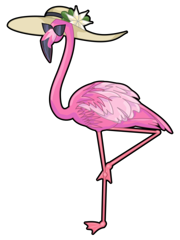 Flamingo Chick
