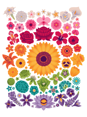 Floral Spectrum