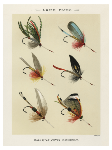 Fly Fishing - Lake Flies